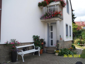 Hotels in Haslau